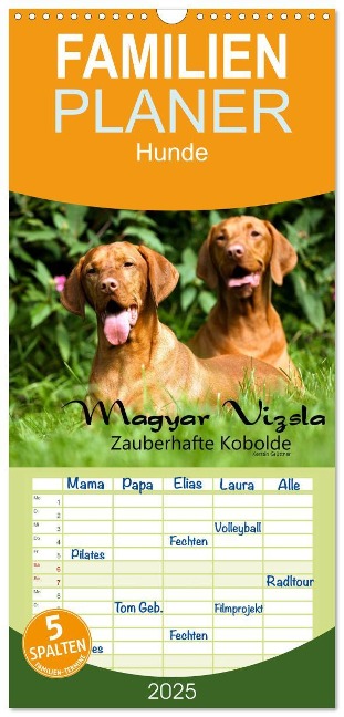 Familienplaner 2025 - Magyar Vizsla - Zauberhafte Kobolde mit 5 Spalten (Wandkalender, 21 x 45 cm) CALVENDO - Kerstin Grüttner