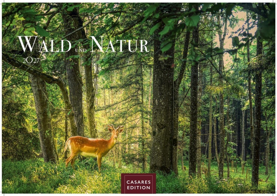 Wald & Natur Kalender 2027 - Wandkalender | Fotokalender Naturkalender 24x 35cm - Natürliche Schönheit & Ruhe für jeden Monat . - 