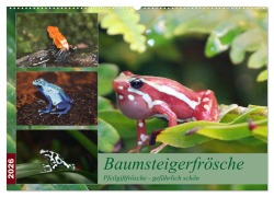 Cover-Bild zum Titel 'Baumsteigerfrösche. Pfeilgiftfrösche - gefährlich schön (Wandkalender 2026 DIN A2 quer), CALVENDO Monatskalender' von 'B. Mielewczyk'