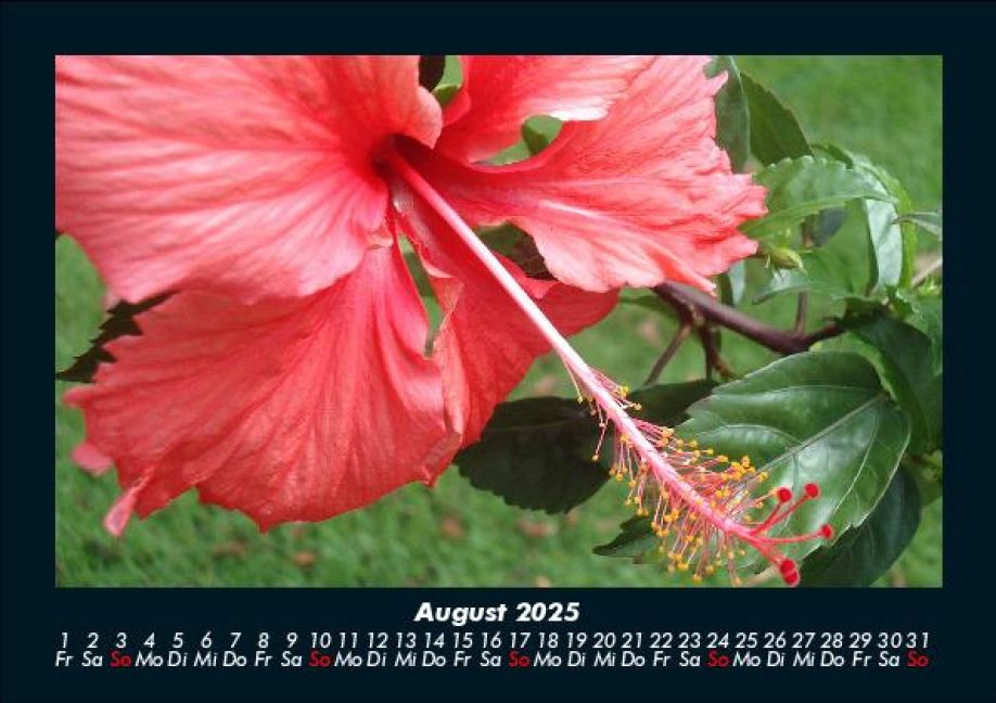 InsideView 12