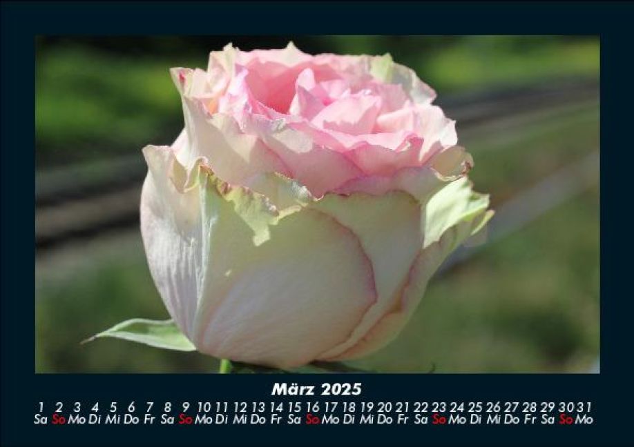 InsideView 7