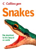Cover-Bild zum Titel 'Snakes' von 'Chris Mattison'