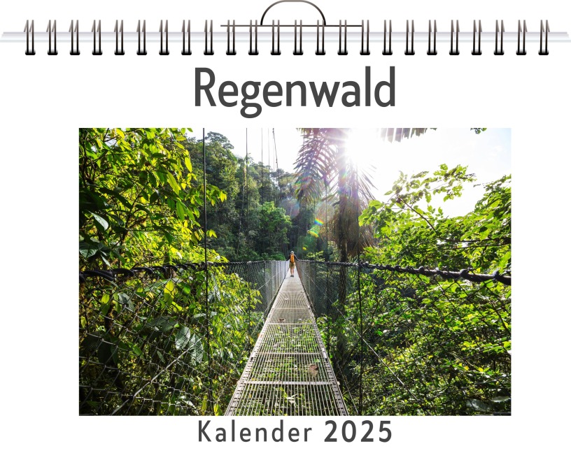 Regenwald - (Wandkalender 2025, Kalender DIN A4 quer, Monatskalender im Querformat mit Kalendarium, das perfekte Geschenk) - Emma Möller