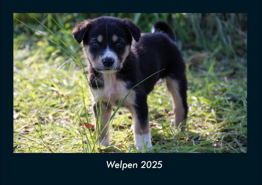 Welpen 2025 Fotokalender DIN A4 - Tobias Becker