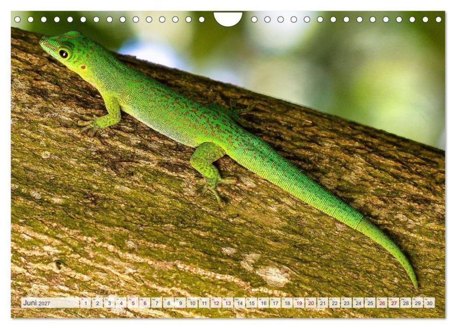 InsideView 11
