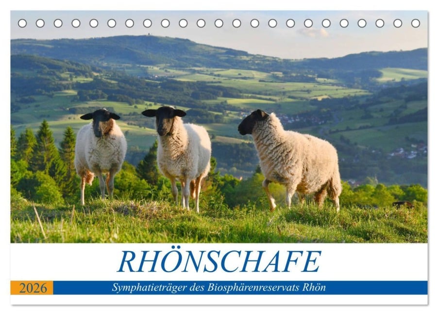 Rhönschafe - Symphatieträger des Biosphärenreservats Rhön (Tischkalender 2026 DIN A5 quer), CALVENDO Monatskalender - Arnulf Müller Hempe