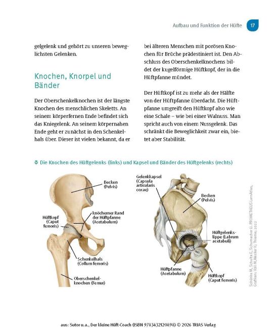 InsideView 12