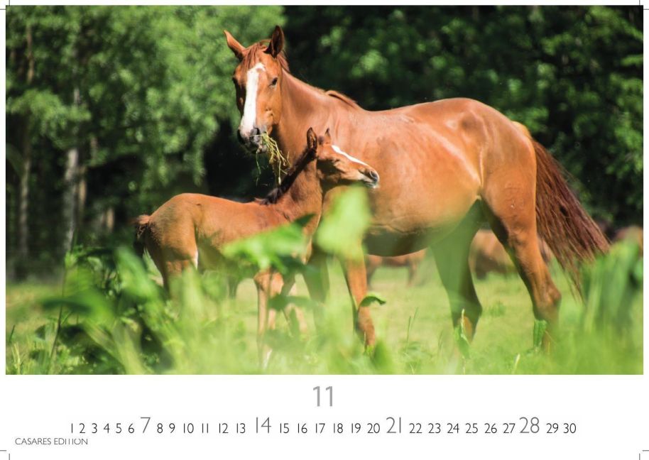 InsideView 11