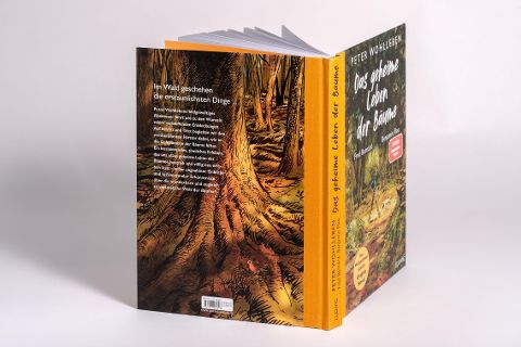 InsideView 10