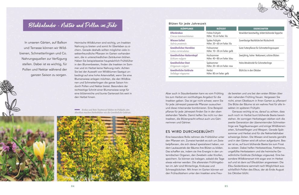 InsideView 6