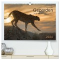 Geparden. Die eleganten Katzen. (hochwertiger Premium Wandkalender 2024 DIN A2 quer), Kunstdruck in Hochglanz - Lucyna Koch