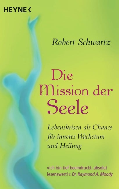 Die Mission der Seele - Robert Schwartz