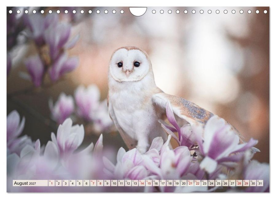 InsideView 13