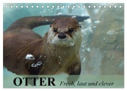 Otter. Frech, laut und clever (Tischkalender 2025 DIN A5 quer), CALVENDO Monatskalender - Elisabeth Stanzer