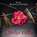 Cover-Bild zum Titel 'Divlja ruza' von 'Nura Bazdulj Hubijar'