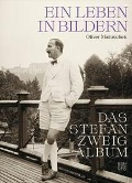 Cover-Bild zum Titel 'Das Stefan Zweig Album' von 'Oliver Matuschek'