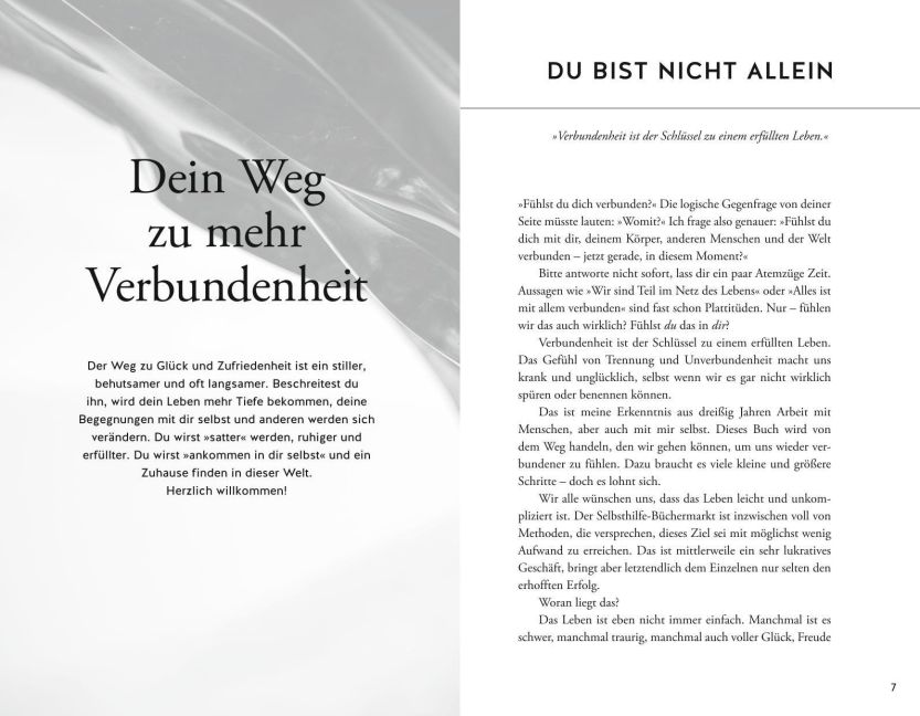 InsideView 2