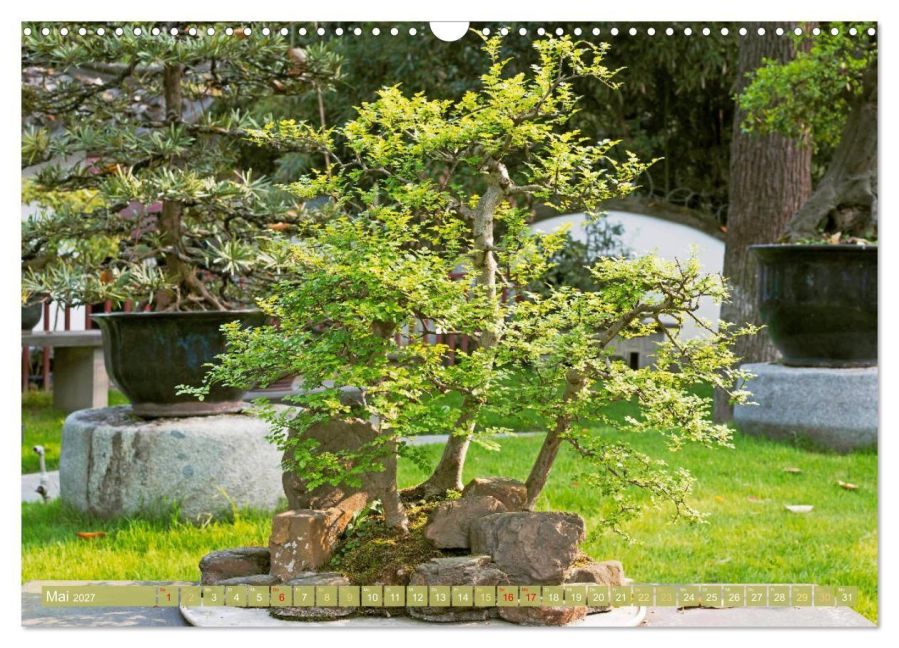 InsideView 10