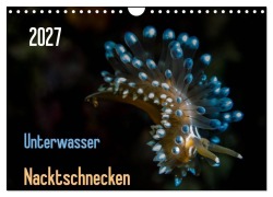 Cover-Bild zum Titel 'Unterwasser - Nacktschnecken 2027 (Wandkalender 2027 DIN A4 quer), CALVENDO Monatskalender' von 'Claudia Weber-Gebert'