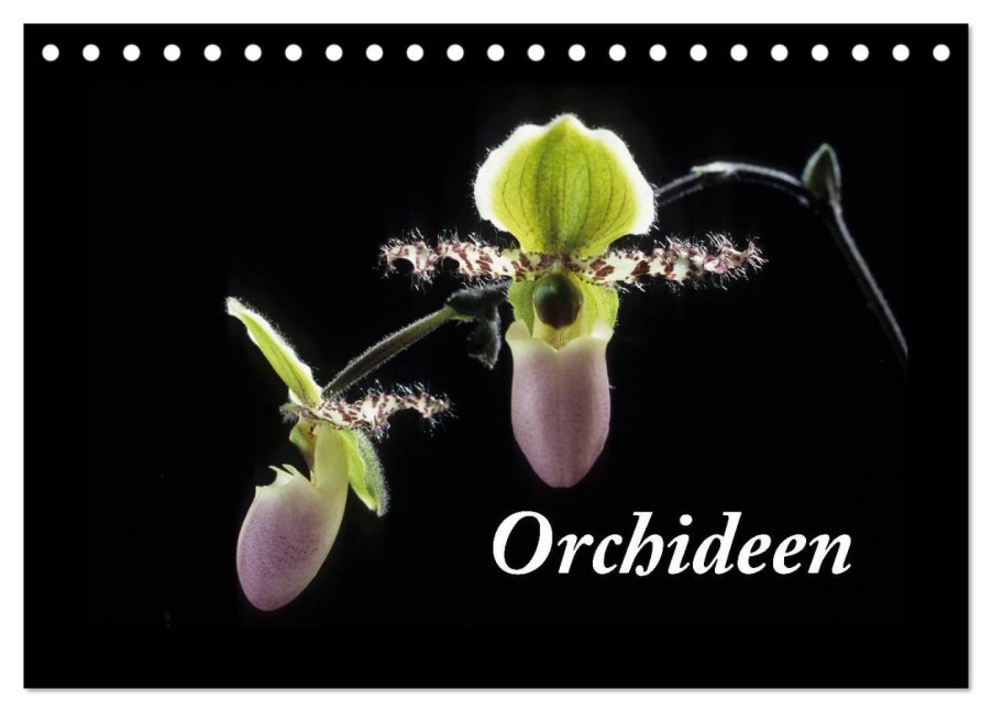 Orchideen 2026 (Tischkalender 2026 DIN A5 quer), CALVENDO Monatskalender - Kleber(C)Gagelart Kleber(C)Gagelart