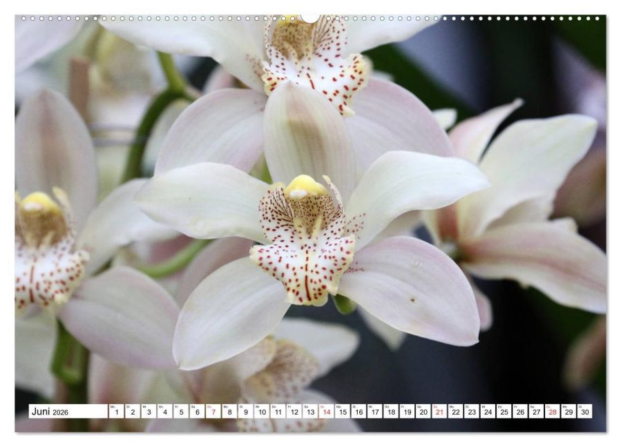 InsideView 11