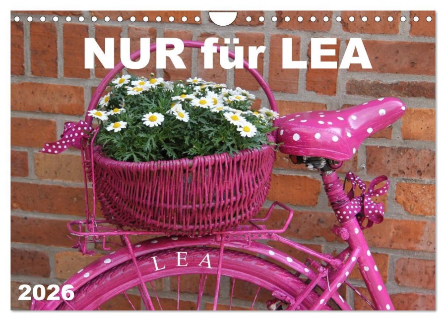 Nur für LEA (Wandkalender 2026 DIN A4 quer), CALVENDO Monatskalender - SchnelleWelten SchnelleWelten