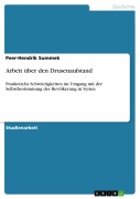 Cover-Bild zum Titel 'Arbeit über den Drusenaufstand' von 'Peer-Hendrik Summek'