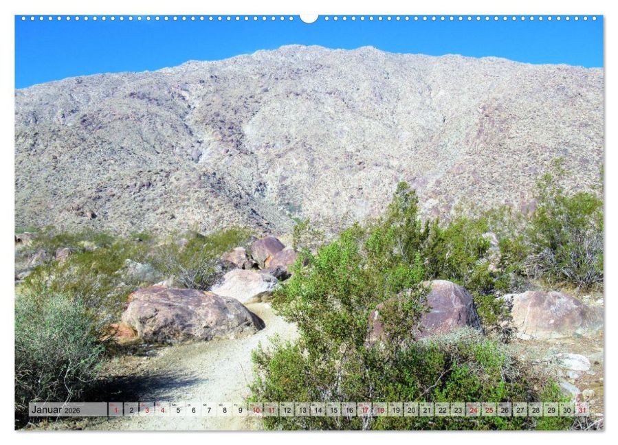 InsideView 6