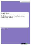 Cover-Bild zum Titel 'Ko-Kultivierung von Cyanobakterien mit Arabidopsis thaliana' von 'Songül Yavuz'