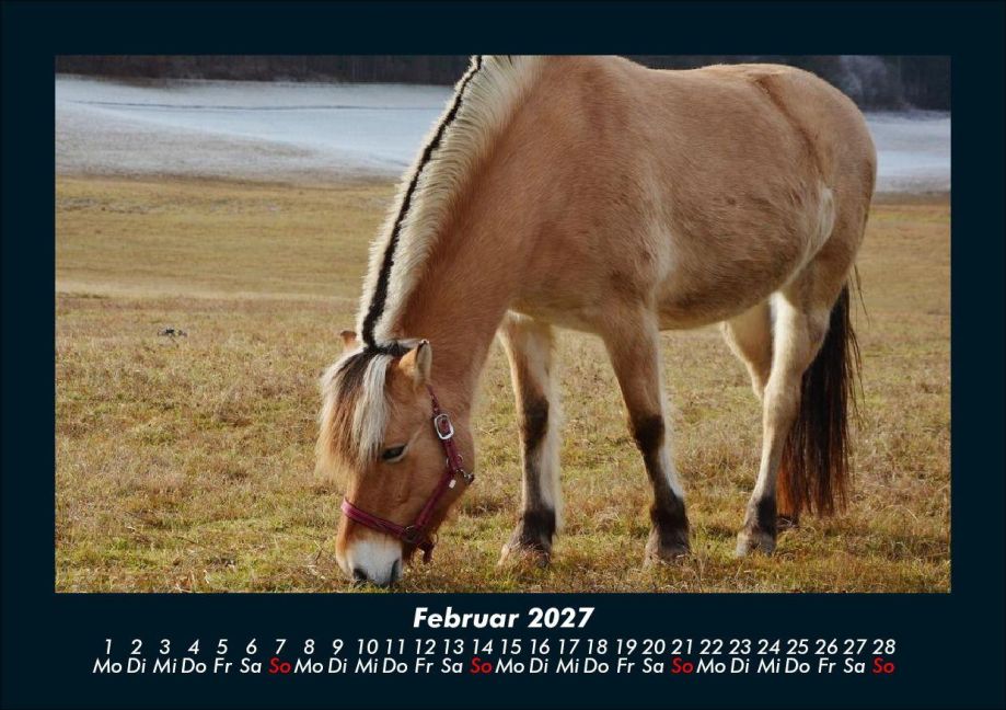 InsideView 6