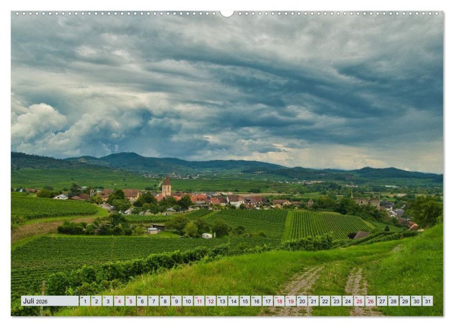 InsideView 12