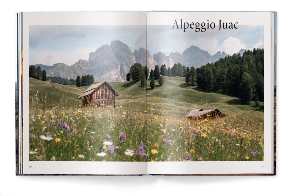 InsideView 11