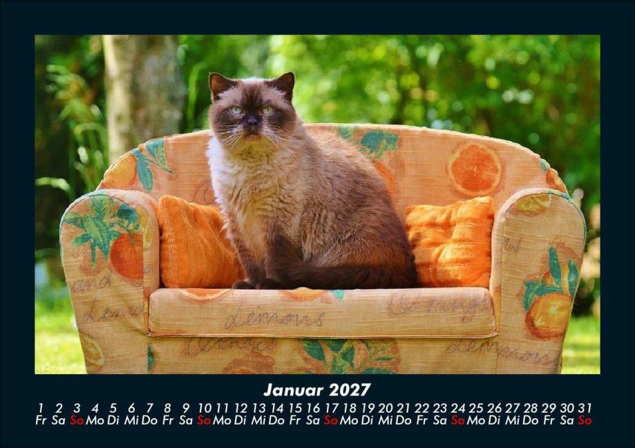 InsideView 5