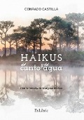 Cover-Bild zum Titel 'Haikus del canto y del agua' von 'Conrado Castilla'