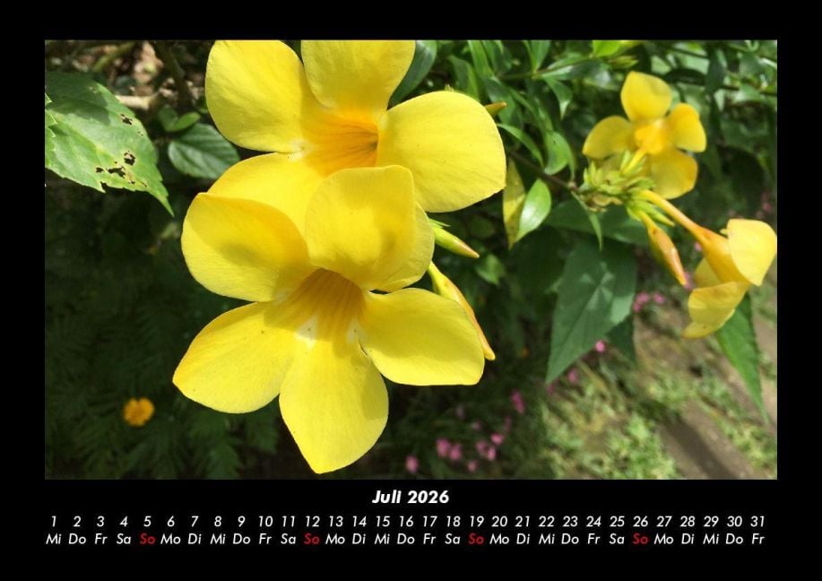 InsideView 11
