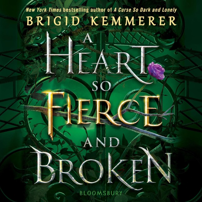 A Heart So Fierce and Broken - Brigid Kemmerer