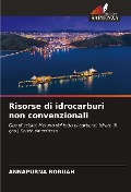 Cover-Bild zum Titel 'Risorse di idrocarburi non convenzionali' von 'Annapurna Boruah'