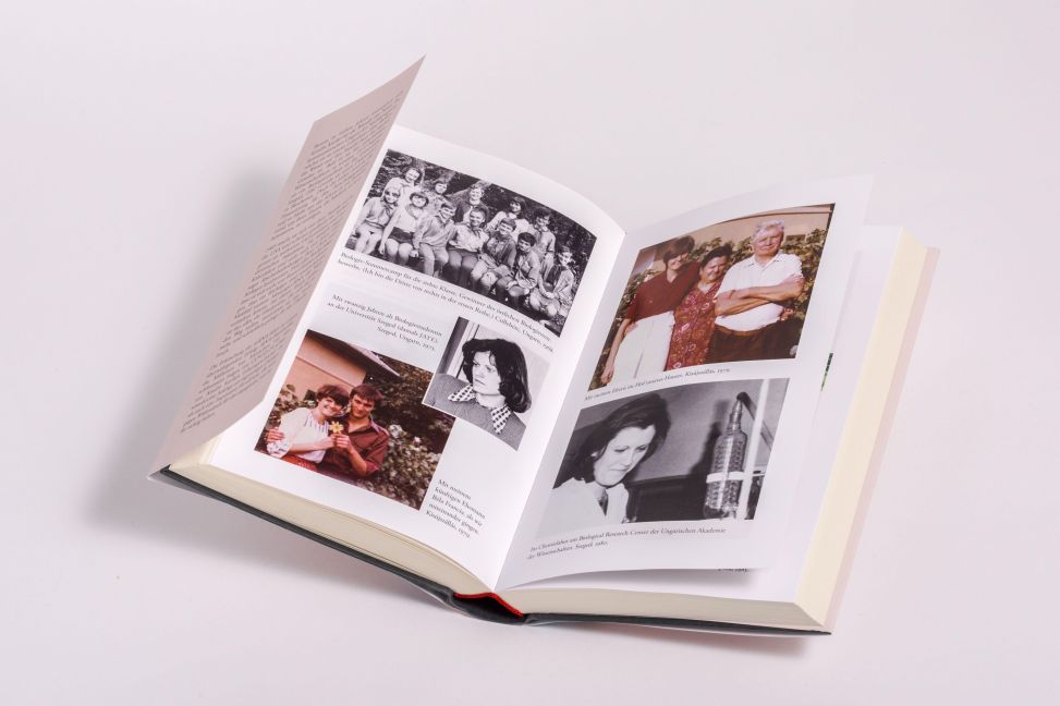 InsideView 3