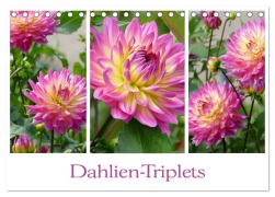 Dahlien-Triplets (Tischkalender 2026 DIN A5 quer), CALVENDO Monatskalender - Christine B-B Müller
