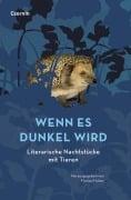 Cover-Bild zum Titel 'Wenn es dunkel wird' von ''