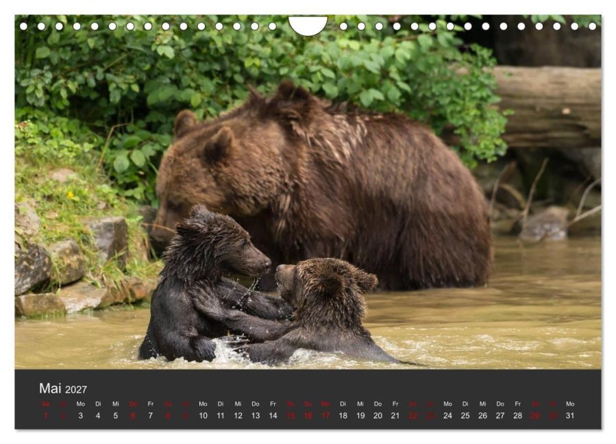 InsideView 10