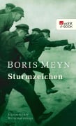 Cover-Bild zum Titel 'Sturmzeichen' von 'Boris Meyn'