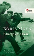 Sturmzeichen - Boris Meyn