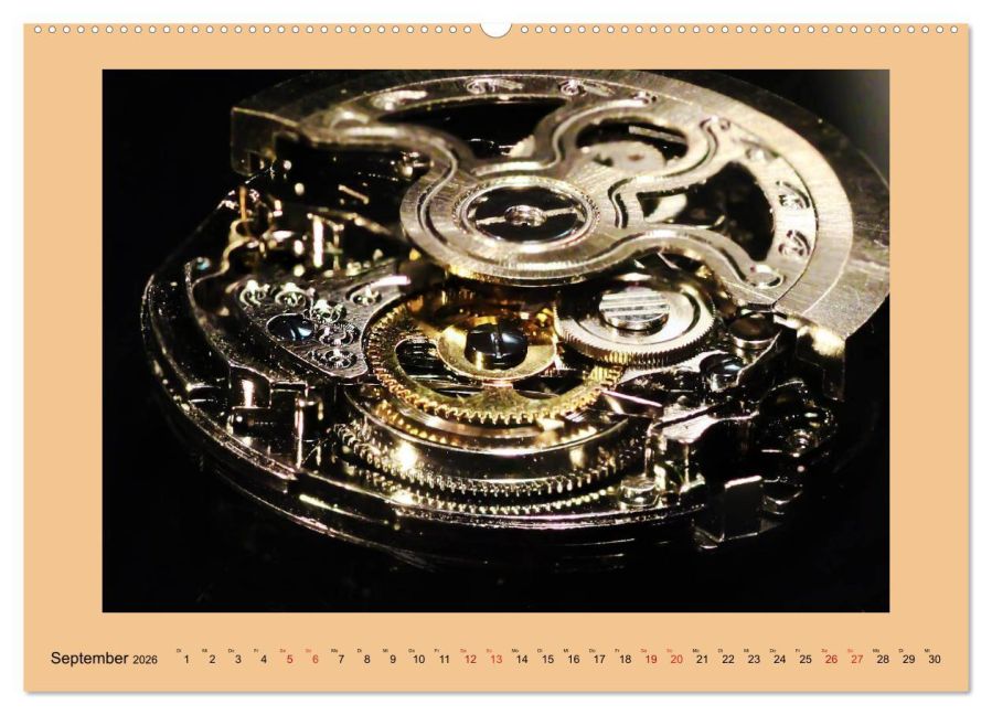 InsideView 13