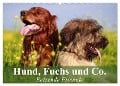 Hund, Fuchs und Co. Reizende Freunde (Wandkalender 2024 DIN A2 quer), CALVENDO Monatskalender - Elisabeth Stanzer