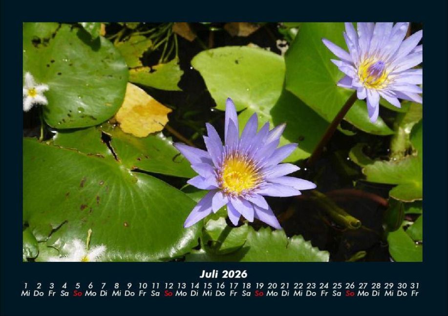 InsideView 11