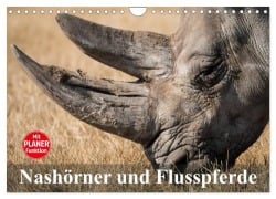 Cover-Bild zum Titel 'Nashörner und Flusspferde (Wandkalender 2026 DIN A4 quer), CALVENDO Monatskalender' von 'Elisabeth Stanzer'