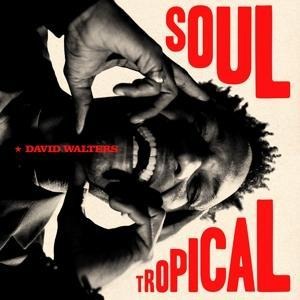 Soul Tropical - David Walters