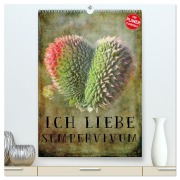 Cover-Bild zum Titel 'Ich liebe Sempervivum (hochwertiger Premium Wandkalender 2026 DIN A2 hoch), Kunstdruck in Hochglanz' von 'Martina Cross'