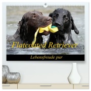 Cover-Bild zum Titel 'Flatcoated Retriever (hochwertiger Premium Wandkalender 2026 DIN A2 quer), Kunstdruck in Hochglanz' von 'Beam Beatrice Müller'